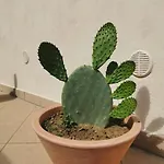 Lejlighed Intera Casa Appena Ristrutturata Parabita