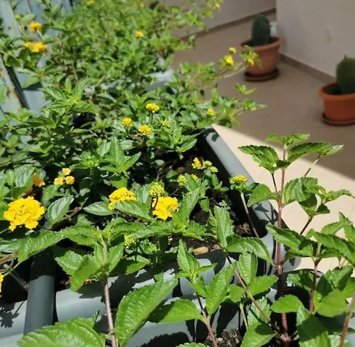 Intera Casa Appena Ristrutturata Parabita