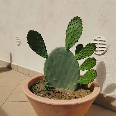 דירה Intera Casa Appena Ristrutturata פראביטה