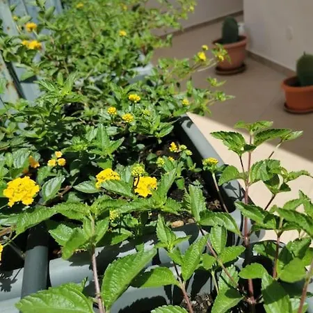 Intera Casa Appena Ristrutturata Parabita