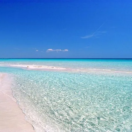 Intera Casa Appena Ristrutturata Διαμέρισμα *